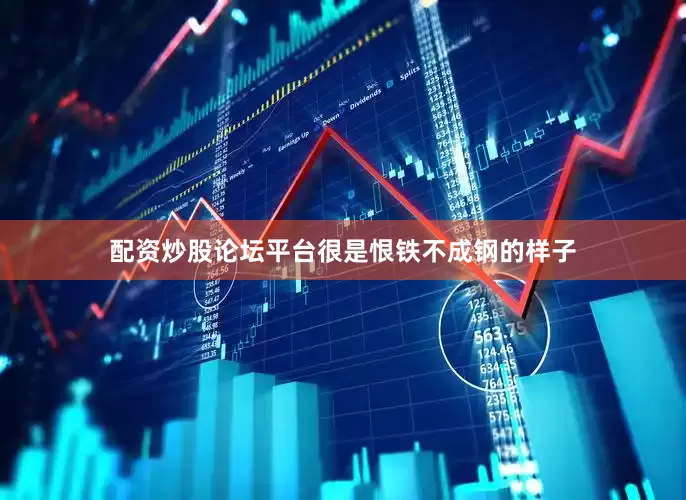 配资炒股论坛平台很是恨铁不成钢的样子